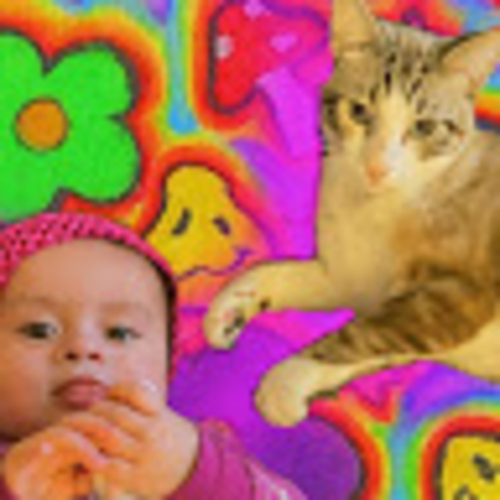 Meet your Posher, Ashley